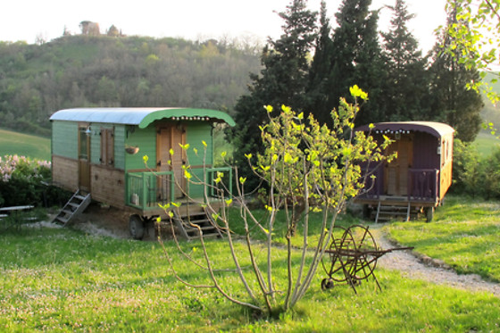 Les roulottes du Lauragais - photo 0