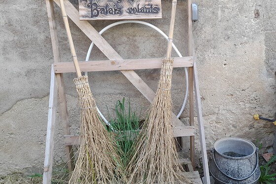 Aux Chambres Des Sorciers - photo 5