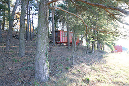 1001 Cornes