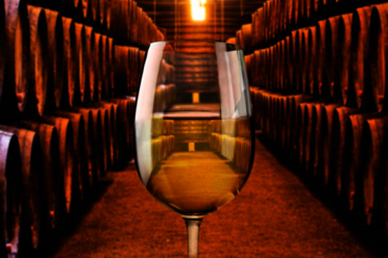 BODEGAS LAS TIRAJANAS - photo 3
