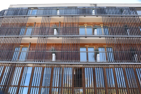 Adonis Lyon Dock Ouest - photo 3