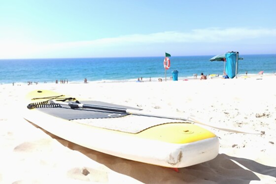 THE SURFER'S PLACE - photo 5