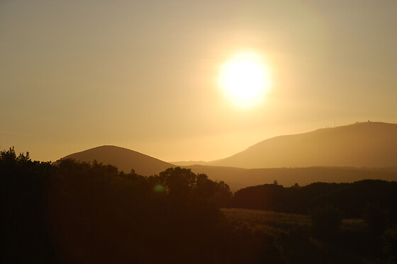 PICADEIRO QUINTA DO VALE - photo 5