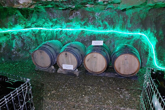 Prova de 5 vinhos Almeida Garrett para 2 | A Quinta das Minas da Recheira em Castelo Branco