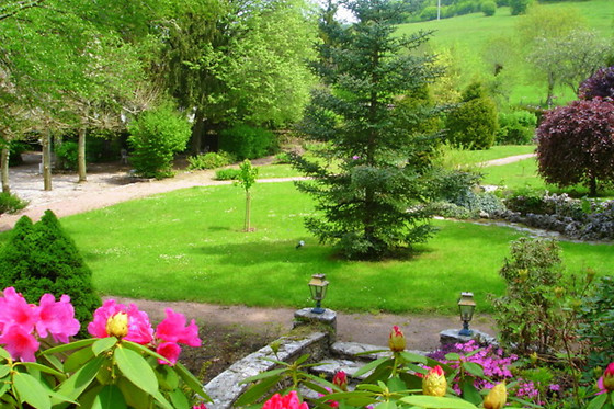 La Petite Suisse Bourguignonne - photo 1