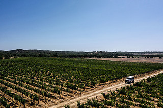 Visita à Herdade de Coelheiros (Arraiolos)