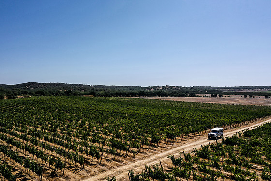 Visita à Herdade de Coelheiros (Arraiolos)