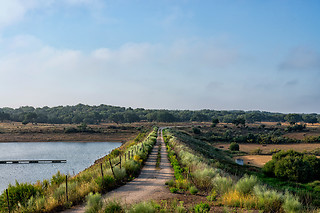 Visita à Herdade de Coelheiros (Arraiolos)
