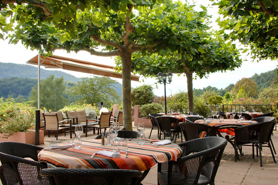 Domaine de Falgos - photo 5