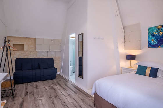 LE MANOIR DES BERTINIÈRES - photo 10