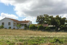Casa Robusto