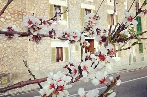 HOTEL CAN BUSQUETS - photo 1