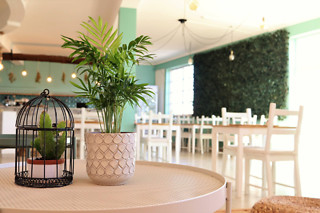 Refeição Vegetariana para 2 | Balance Cafe (Portimão)