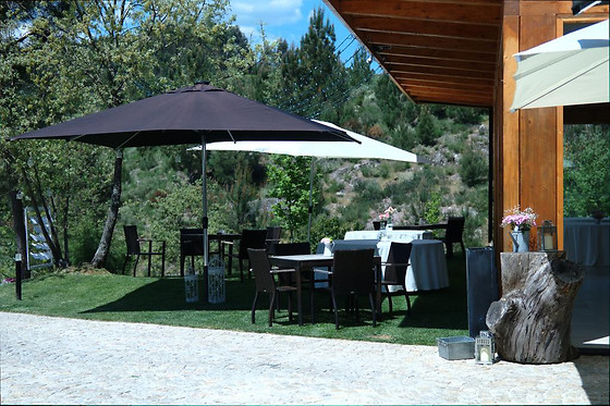 QUINTA DO MEDRONHEIRO - photo 5