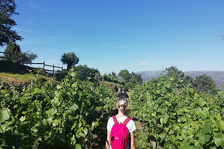 Degustação de Vinhos + Petiscos a 2 | Quinta de Santa Marinha, Arcos de Valdevez (Viana do Castelo)