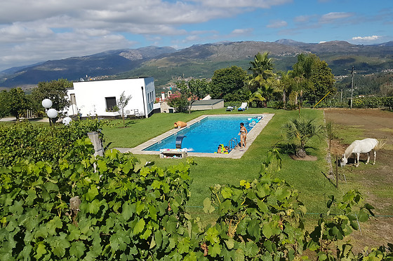 Degustação de Vinhos + Petiscos a 2 | Quinta de Santa Marinha, Arcos de Valdevez (Viana do Castelo)