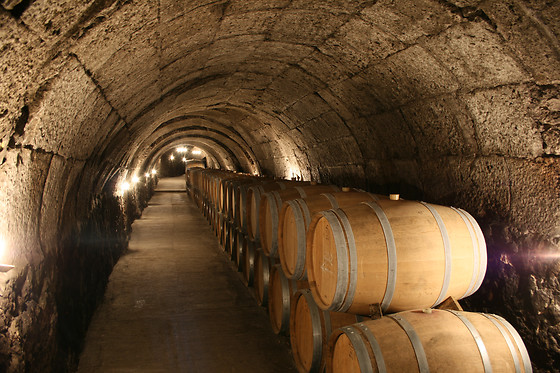 BODEGAS ISMAEL ARROYO - VALSOTILLO - photo 2