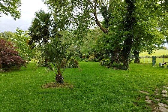 Les roulottes de kuzco - photo 8