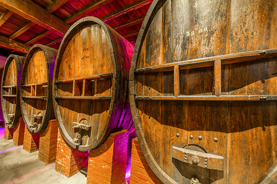 Maison Guinot - photo 0