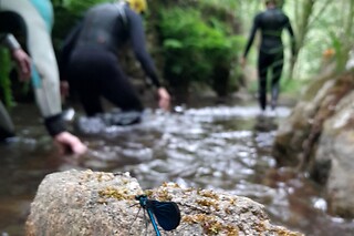 Caminhada aquática pelo Rio Gresso para 3 no Desafios - Desporto e Aventura em Sever do Vouga (Aveiro)