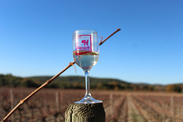 Vigno'Vins