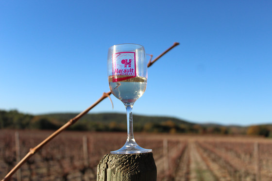 Vigno'Vins - photo 2
