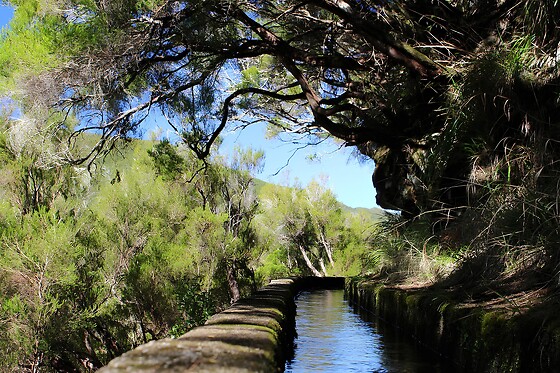 Caminhada pela Levada de Rabaçal para 1 adulto e 1 criança em Ilha Tours em Funchal (Madeira)