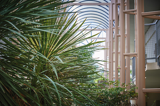 Les Jardins de l'Anjou - photo 15