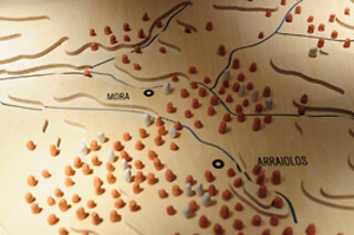 Viagem familiar à pré-história | Entrada no Museu Interactivo do Megalitismo de Mora (Évora)