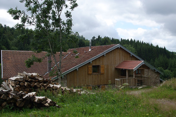 Les Gîtes de la Racine - photo 0