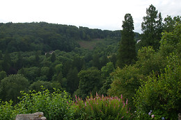 Les Gîtes de la Racine