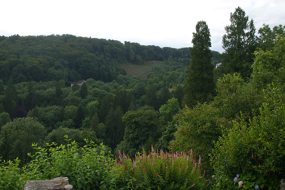 Les Gîtes de la Racine - photo 2