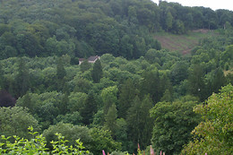 Les Gîtes de la Racine