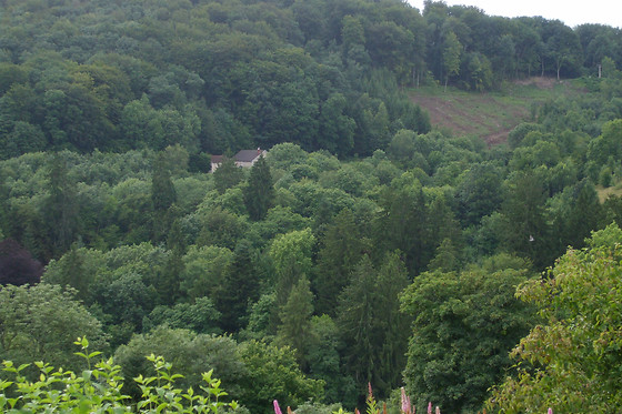 Les Gîtes de la Racine - photo 3