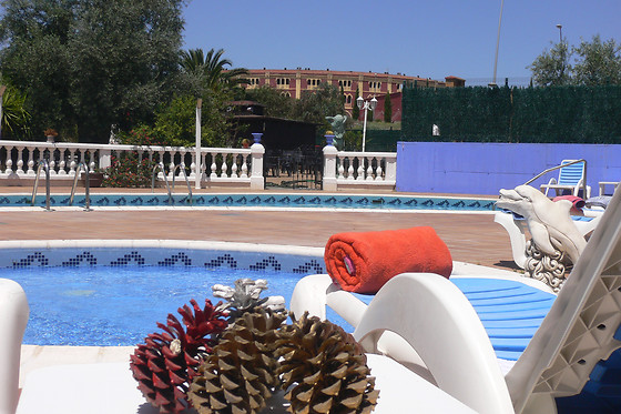 HOTEL ZEUS MERIDA - photo 1