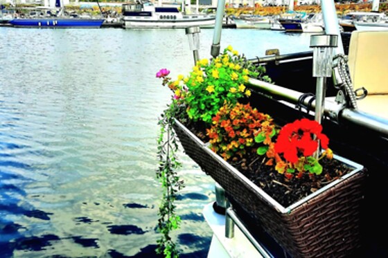 Bateau Le Zimon - photo 7