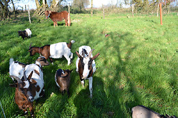 Domaine des Vaulx