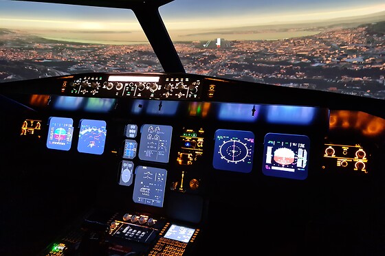 Zim Air Simulation - photo 4