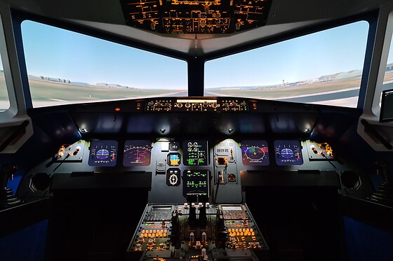 Zim Air Simulation - photo 7