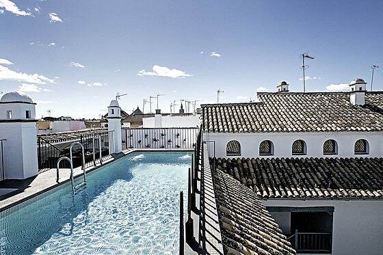 HOTEL HOSPES LAS CASAS DEL REY DE BAEZA - photo 5