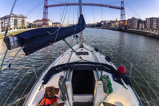 SAILING AND WINE - photo 1