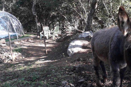 La Ferme Aventure 66 - photo 1