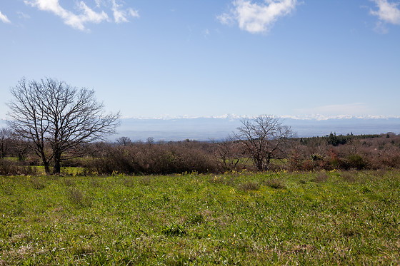 Ac Shop - Domaine de Malouzies - photo 9