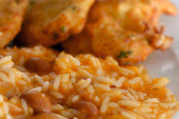 O GATO DO RIO