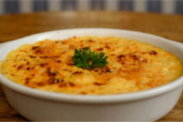 O GATO DO RIO