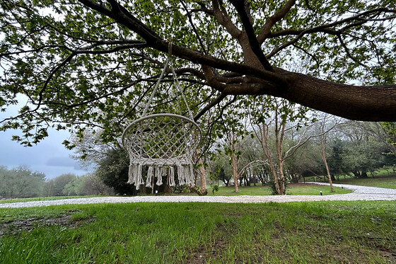 O RECUNCHO DO SOR - photo 15