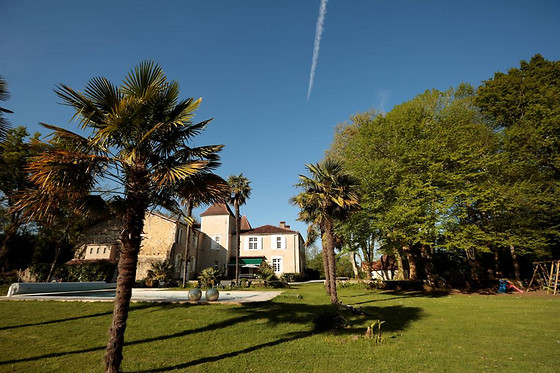 Château saint Martin - photo 5