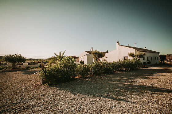 FINCA EL POCICO - photo 32