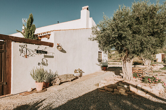 FINCA EL POCICO - photo 9