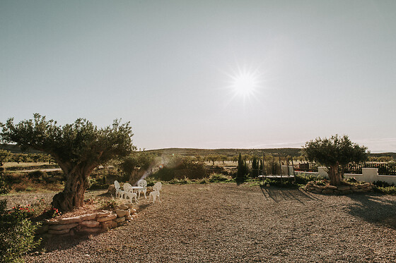 FINCA EL POCICO - photo 53